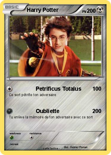 Pokemon Harry Potter