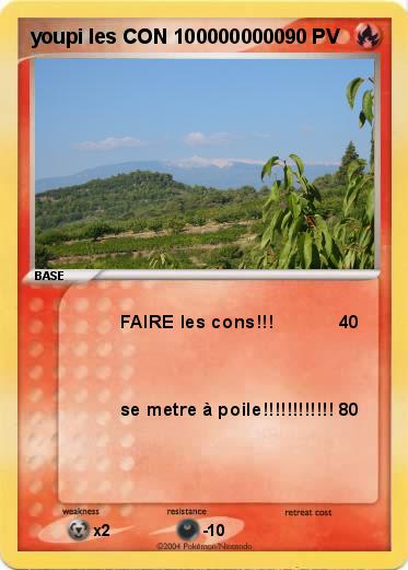 Pokemon youpi les CON 1000000000
