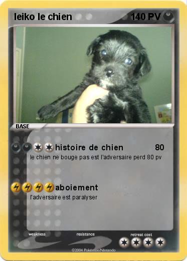 Pokemon leiko le chien