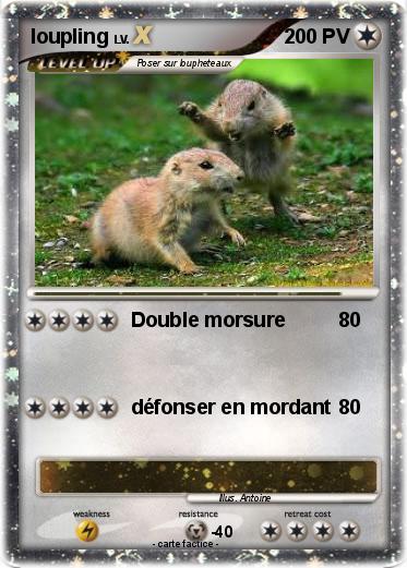 Pokemon loupling