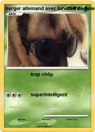 Pokemon berger allemand avec lunettes de soleil