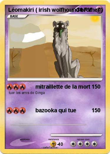 Pokemon Léomakiri ( irish wolfhound brother )