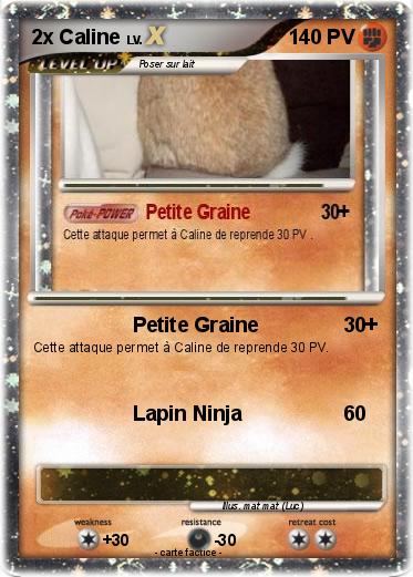 Pokemon 2x Caline