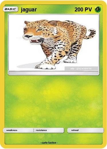 Pokemon jaguar