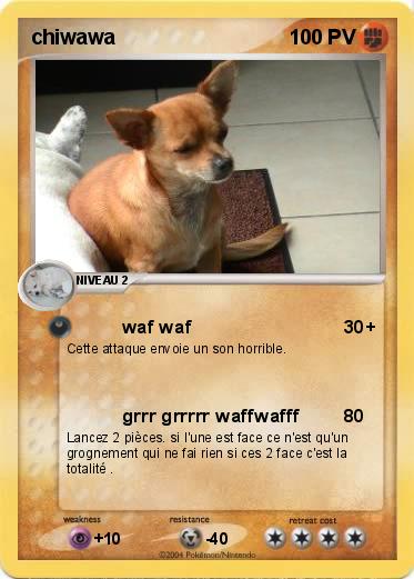 Pokemon chiwawa