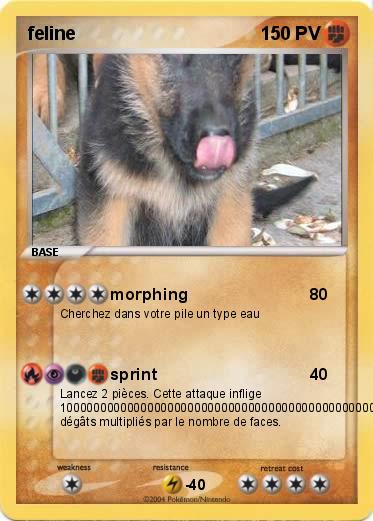 Pokemon feline