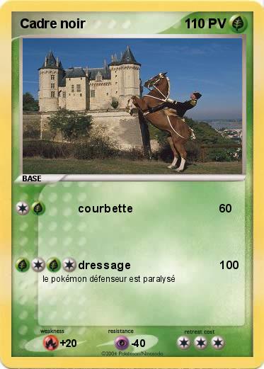 Pokemon Cadre noir