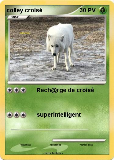 Pokemon colley croisé