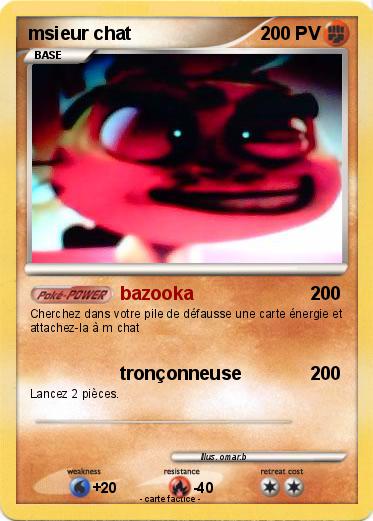Pokemon msieur chat