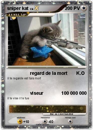Pokemon sniper kat