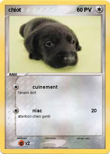 Pokemon chiot