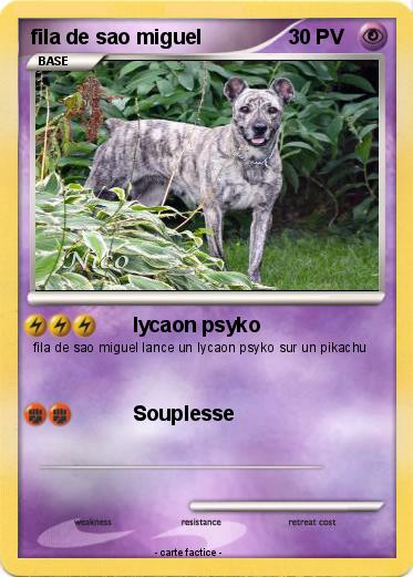 Pokemon fila de sao miguel