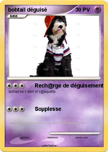 Pokemon bobtail déguisé