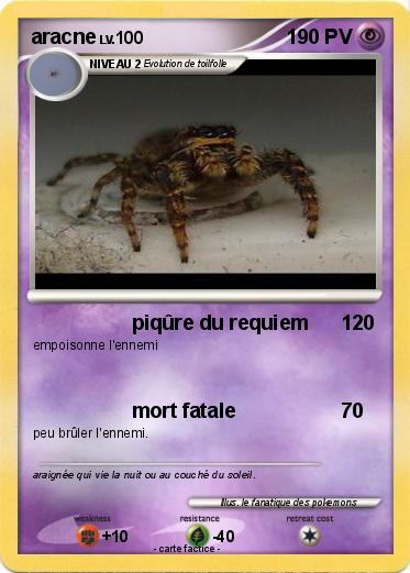 Pokemon aracne