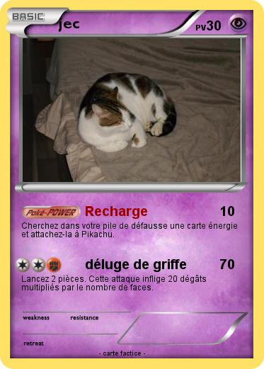 Pokemon jec