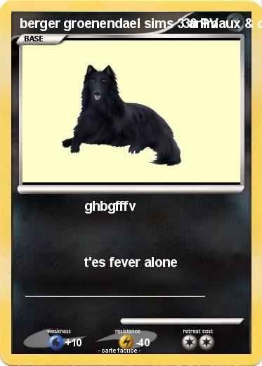 Pokemon berger groenendael sims 3 animaux & cie 3DS