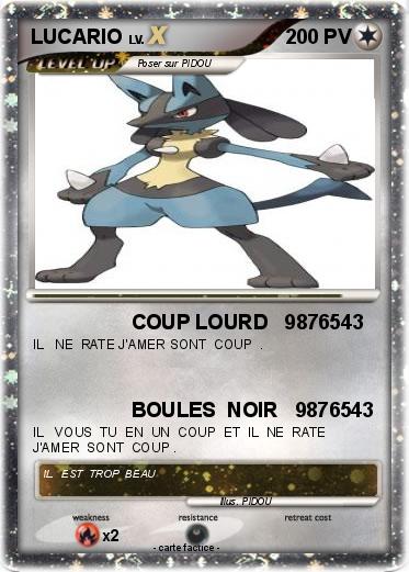 Pokemon LUCARIO