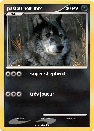 Pokemon pastou noir mix