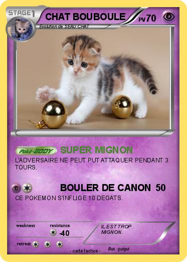 Pokemon CHAT BOUBOULE