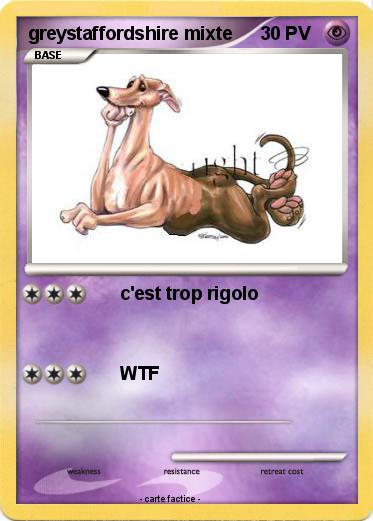Pokemon greystaffordshire mixte
