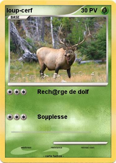 Pokemon loup-cerf