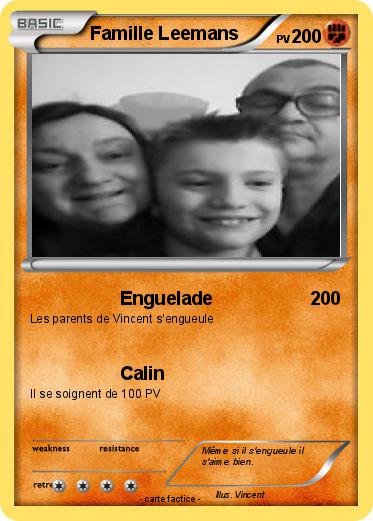 Pokemon Famille Leemans