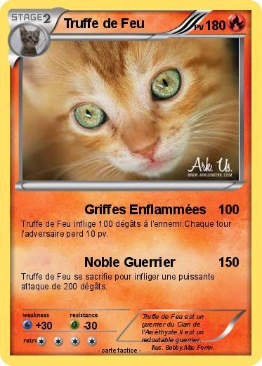 Pokemon Truffe de Feu