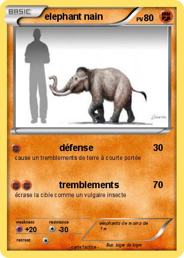 Pokemon elephant nain