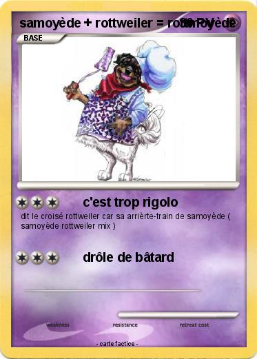 Pokemon samoyède + rottweiler = rottmoyède