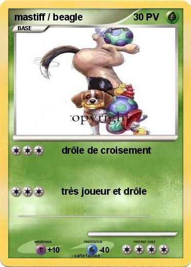 Pokemon mastiff / beagle