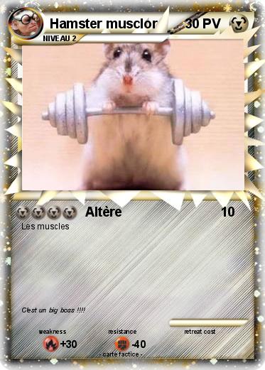 Pokemon Hamster musclor