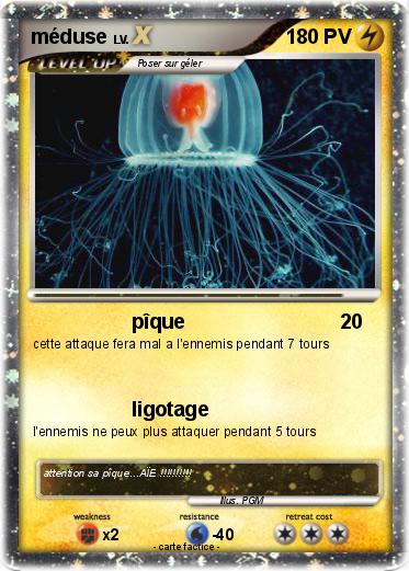 Pokemon méduse