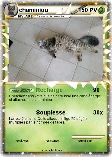 Pokemon chaminiou