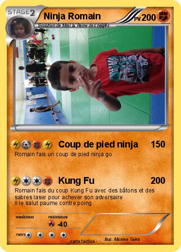 Pokemon Ninja Romain