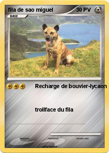 Pokemon fila de sao miguel