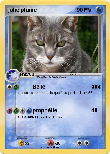 Pokemon jolie plume
