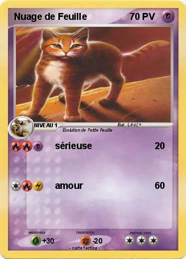 Pokemon Nuage de Feuille