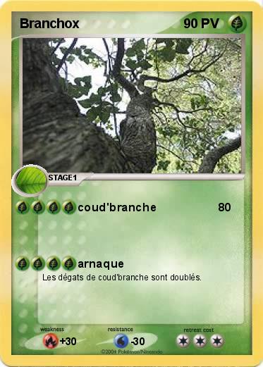 Pokemon Branchox