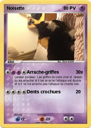 Pokemon Noisette