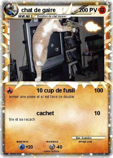 Pokemon chat de gaire