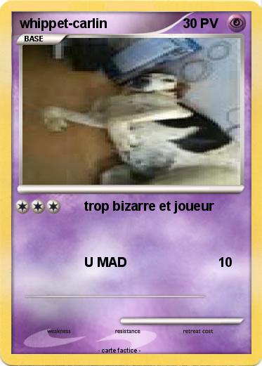 Pokemon whippet-carlin