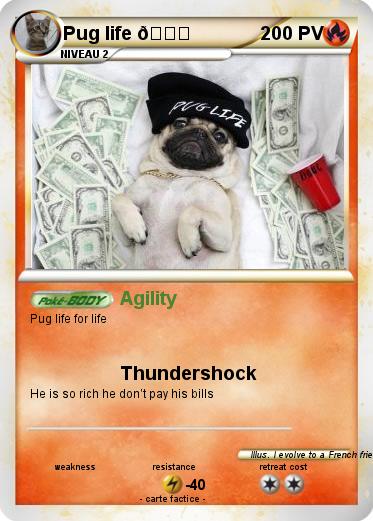 Pokemon Pug life ????