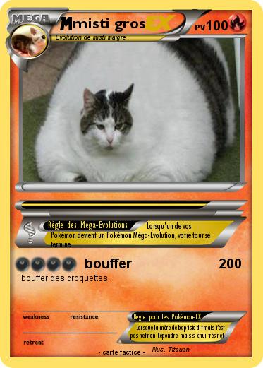 Pokemon misti gros