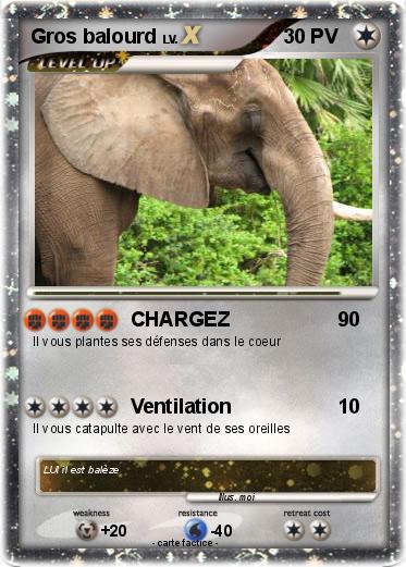 Pokemon Gros balourd