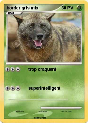 Pokemon border gris mix