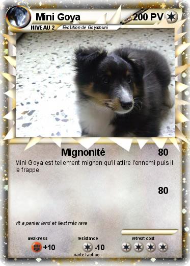 Pokemon Mini Goya
