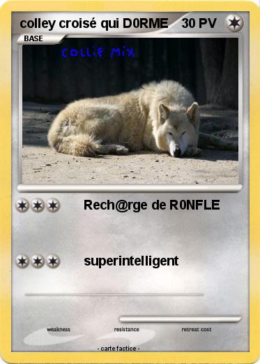 Pokemon colley croisé qui D0RME
