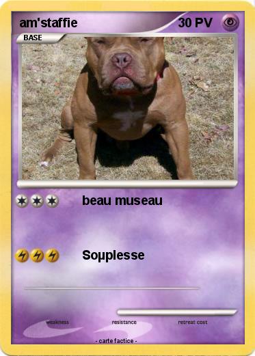 Pokemon am'staffie