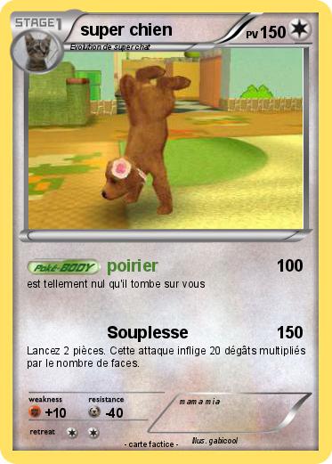 Pokemon super chien