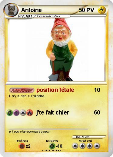 Pokemon Antoine